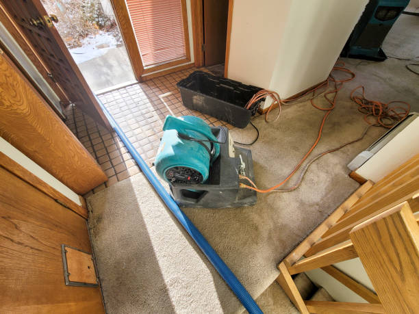 Best 24/7 water damage repair  in Mohnton, PA