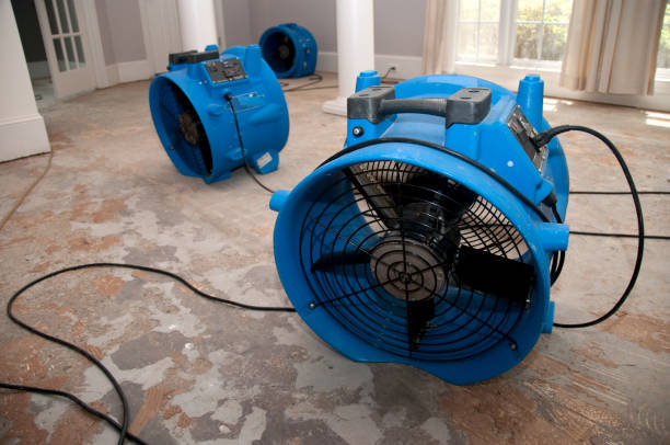 Best Water damage cleanup near me  in Mohnton, PA