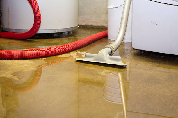 Best Water damage contractors near me  in Mohnton, PA