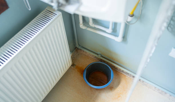 Best Water damage restoration near me  in Mohnton, PA