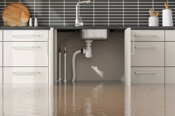 Best Flood damage cleanup  in Mohnton, PA