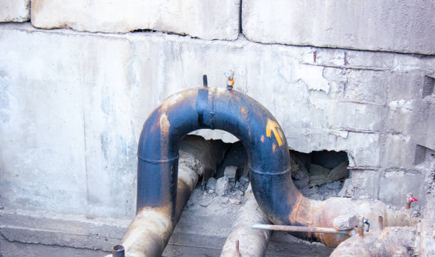 Best Mold removal after water damage  in Mohnton, PA