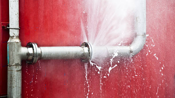 Best Basement water damage restoration  in Mohnton, PA