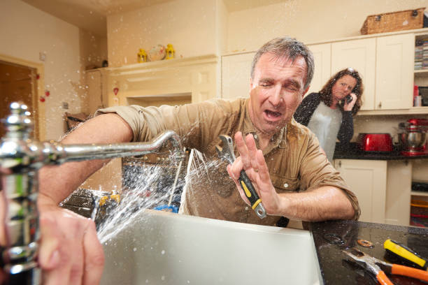 Best Flood damage cleanup  in Mohnton, PA